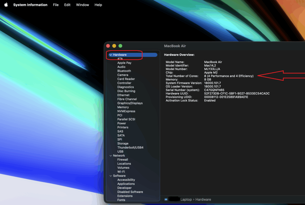 MacBook System Information